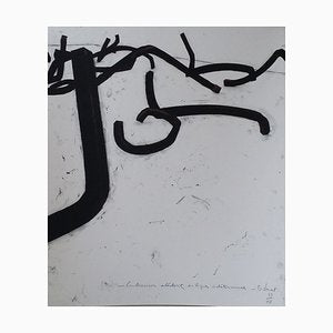 Bernar Venet, Combinaisons aléatoires, Original and Lithograph-KHH-1198199