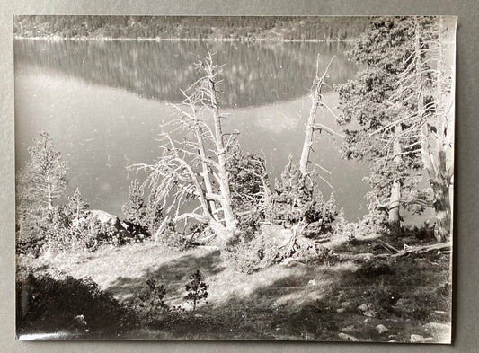 Bernard Darot, Arbre mort devant un lac No.2, Silver Gelatin Print, 20th Century