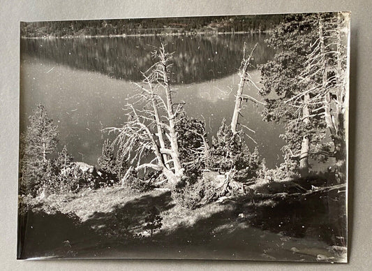 Bernard Darot, Arbre mort devant un lac No. 3, 20th Century, Silver Gelatin Print