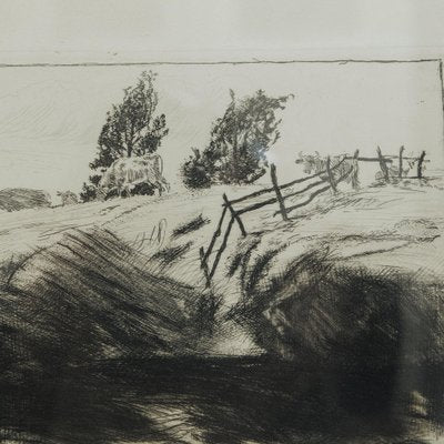 Bernhard Pankok, Cows by the Water, Etching-GCQ-2036521