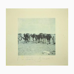 Bettino Craxi, Camels in the Tunisian Desert, Photolithograph, 1995-ZCI-1775826