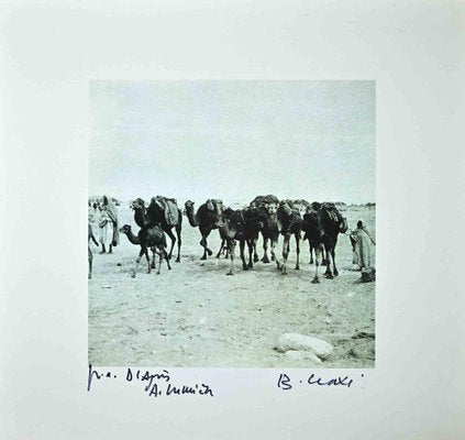 Bettino Craxi, Tunisian Camels, Photolithograph, 1990s-ZCI-1761973