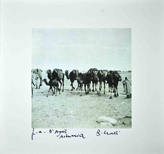 Bettino Craxi, Tunisian Camels, Photolithograph, 1990s