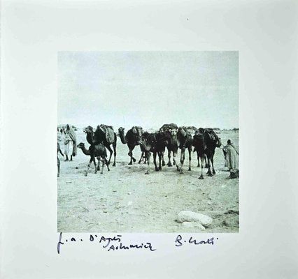 Bettino Craxi, Tunisian Camels, Photolithograph, 1990s-ZCI-1761932