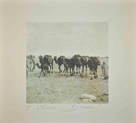 Bettino Craxi, Tunisian Camels, Photolithograph, 1990s-ZCI-1761950