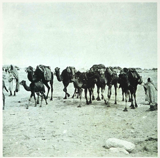 Bettino Craxi, Tunisian Camels, Photolithograph, 1990s