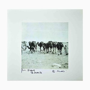 Bettino Craxi, Tunisian Camels, Photolithograph, 1990s-ZCI-1761973