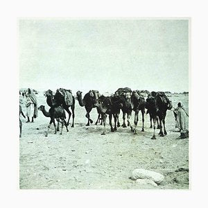 Bettino Craxi, Tunisian Camels, Photolithograph, 1990s-ZCI-1788904