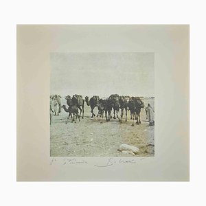 Bettino Craxi, Tunisian Camels, Photolithograph, 1990s-ZCI-1761950