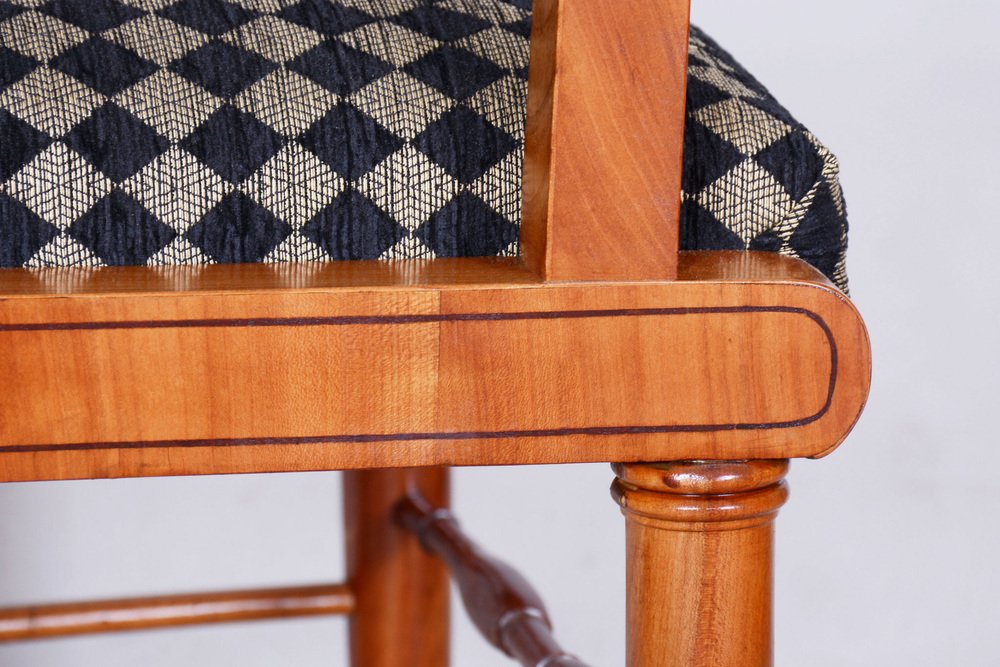 Biedermeier Armchair in Cherrywood and Ebony, Vienna, Austria, 1820s