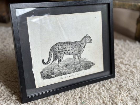 Biedermeier Artist, The Gentle Cat, 1831, Lithograph, Framed