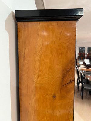 Biedermeier Bookcase in Cherry Veneer, 1820-NNB-1788051