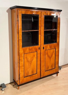 Biedermeier Bookcase in Cherry Veneer, 1820-NNB-1788051