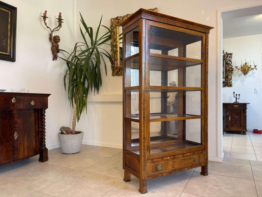 Biedermeier Bookcase in Glass-PXE-2039577