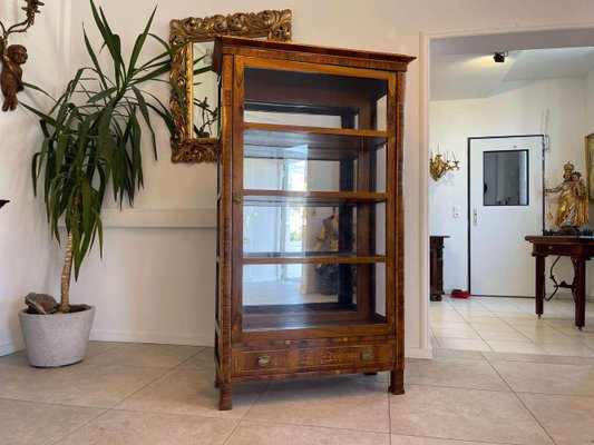 Biedermeier Bookcase in Glass-PXE-2039577