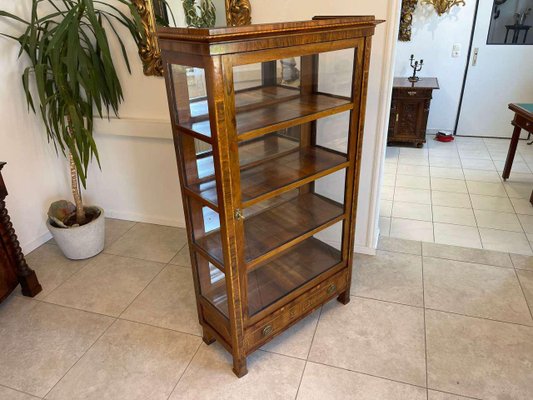 Biedermeier Bookcase in Glass-PXE-2039577