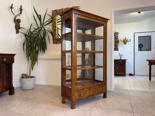 Biedermeier Bookcase in Glass-PXE-2039577