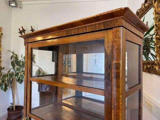 Biedermeier Bookcase in Glass-PXE-2039577