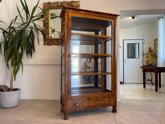 Biedermeier Bookcase in Glass-PXE-2039577