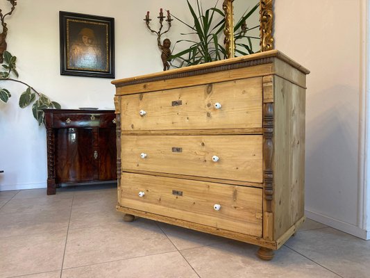 Biedermeier Chest of Drawers in Pine-PXE-2039013