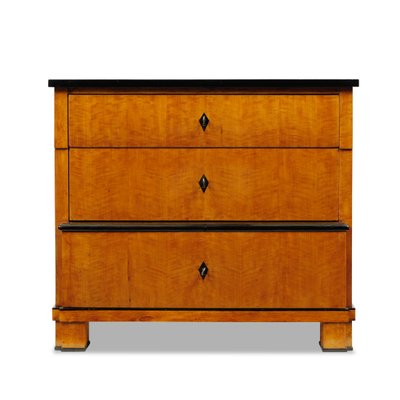 Biedermeier Chest of Drawers, Northern Germany, 1830-OGW-2033021