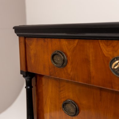 Biedermeier Chest of Drawers, Southern Germany, 1830s-VEI-1169621