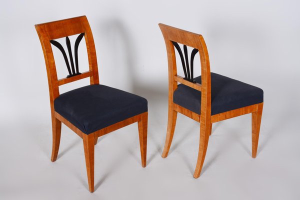 Biedermeier Czech Cherrywood Chairs, 1820s, Set of 2-WHY-588896