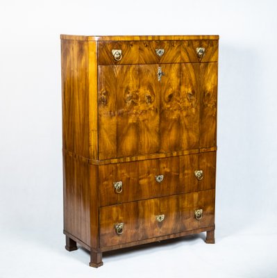 Biedermeier Metternich Secretaire-TSE-1180713