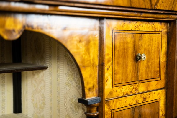 Biedermeier Metternich Secretaire-TSE-1180713