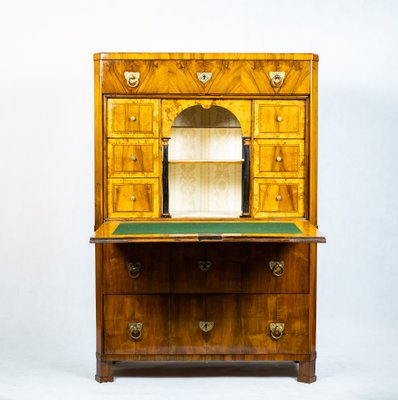 Biedermeier Metternich Secretaire-TSE-1180713