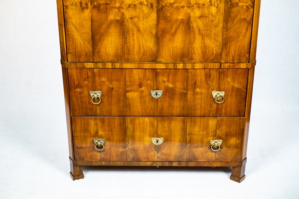 Biedermeier Metternich Secretaire-TSE-1180713