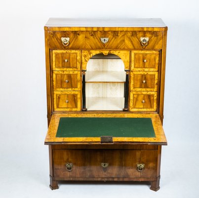 Biedermeier Metternich Secretaire-TSE-1180713