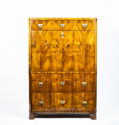 Biedermeier Metternich Secretaire-TSE-1180713