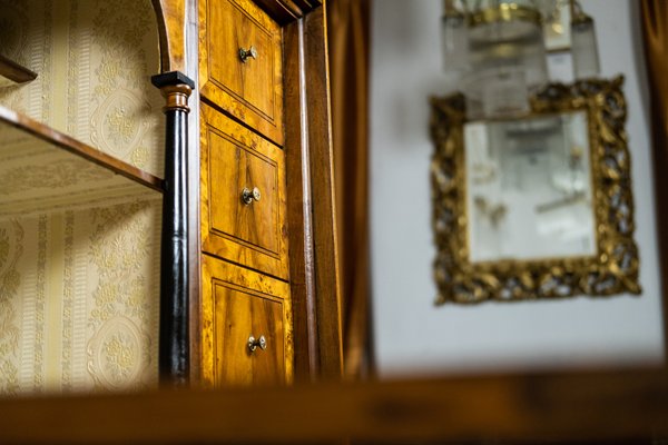 Biedermeier Metternich Secretaire-TSE-1180713