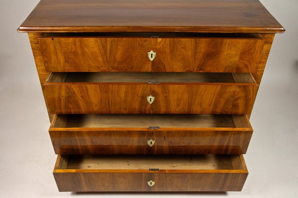 Biedermeier Nutwood Chest of Drawers, Austria, 1840s-TQA-1321896