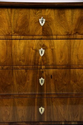 Biedermeier Nutwood Chest of Drawers, Austria, 1840s-TQA-1321896