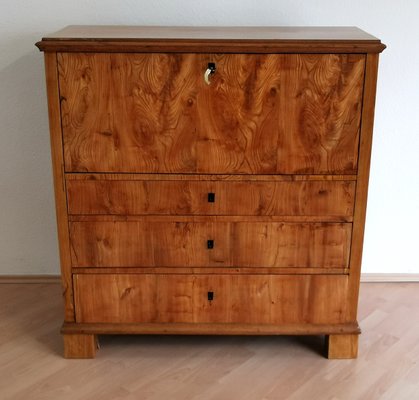 Biedermeier Oak and Birch Secretary, 1820s-ELB-1271263