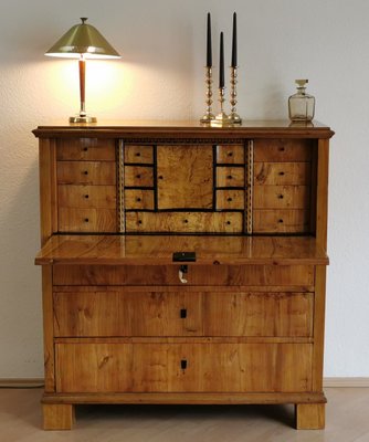 Biedermeier Oak and Birch Secretary, 1820s-ELB-1271263