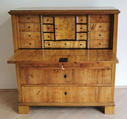 Biedermeier Oak and Birch Secretary, 1820s-ELB-1271263