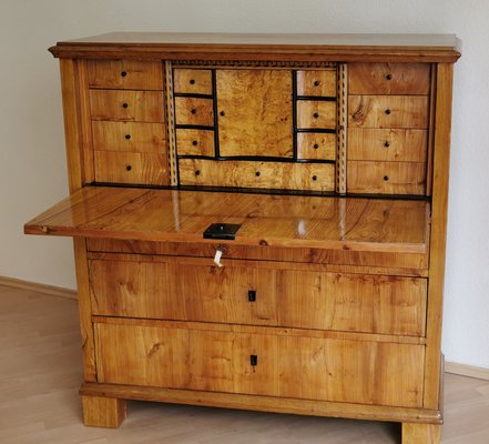 Biedermeier Oak and Birch Secretary, 1820s-ELB-1271263