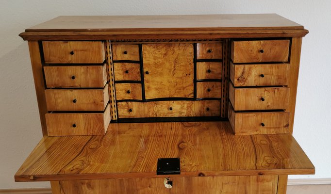 Biedermeier Oak and Birch Secretary, 1820s-ELB-1271263