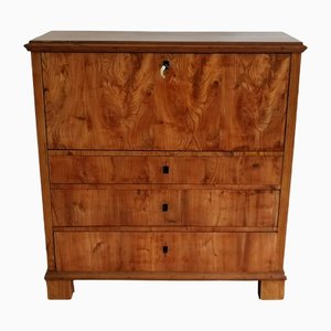 Biedermeier Oak and Birch Secretary, 1820s-ELB-1271263