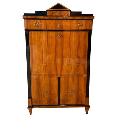 Biedermeier Secretaire in Cherry Veneer, South Germany, 1820s-NNB-907021