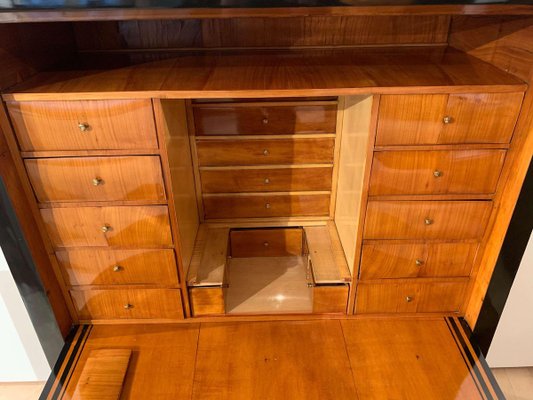 Biedermeier Secretaire in Cherry Veneer, South Germany, 1820s-NNB-907021