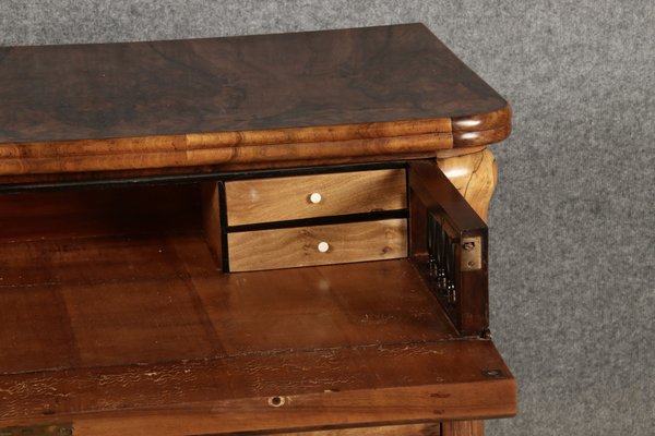 Biedermeier Secretary Chest in Walnut, 1830s-DXD-1790759