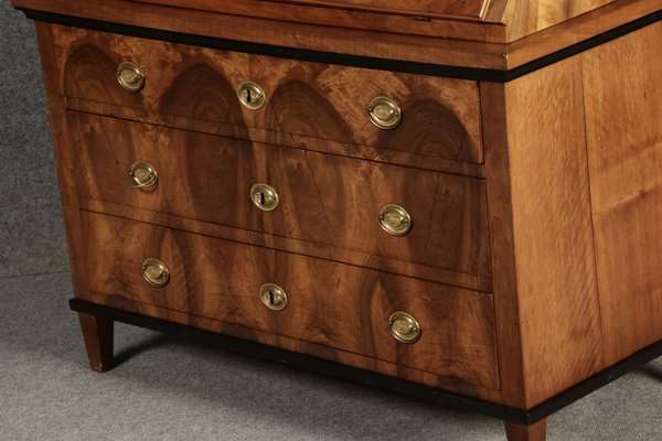 Biedermeier Secretary in Walnut, 1820s-DXD-1790760