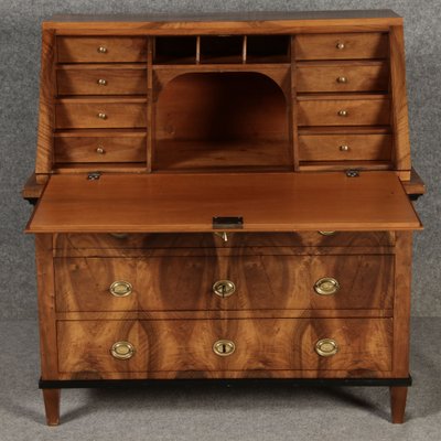 Biedermeier Secretary in Walnut, 1820s-DXD-1790760