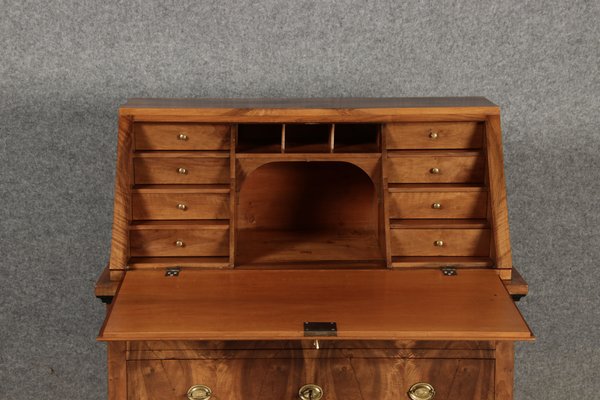 Biedermeier Secretary in Walnut, 1820s-DXD-1790760