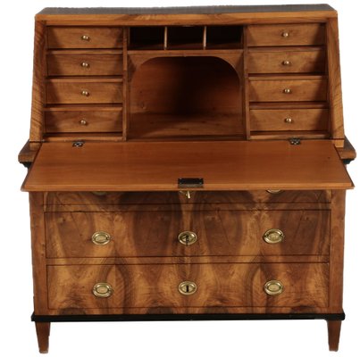 Biedermeier Secretary in Walnut, 1820s-DXD-1790760