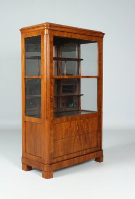 Biedermeier Showcase Cabinet, 1830s-ZLE-1425089